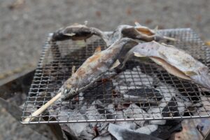 魚のつかみ取り体験